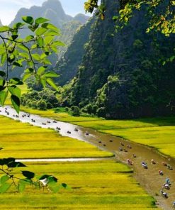 HA NOI - HOA LU TOWN - TRANG AN - HAN MUA